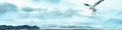 Calendrier Quatre saisons de l'aquarelle