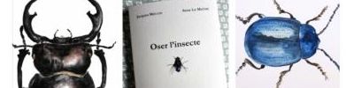 Oser l'insecte