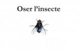 Oser l'insecte