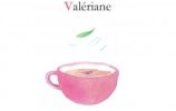 Valériane