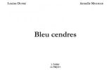 Bleu cendres