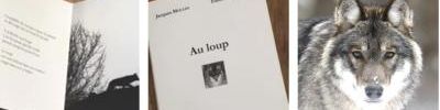 Au loup