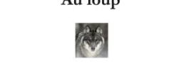 Au loup