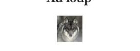 Au loup