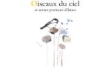 Oiseaux du ciel et autres porteurs d'âmes